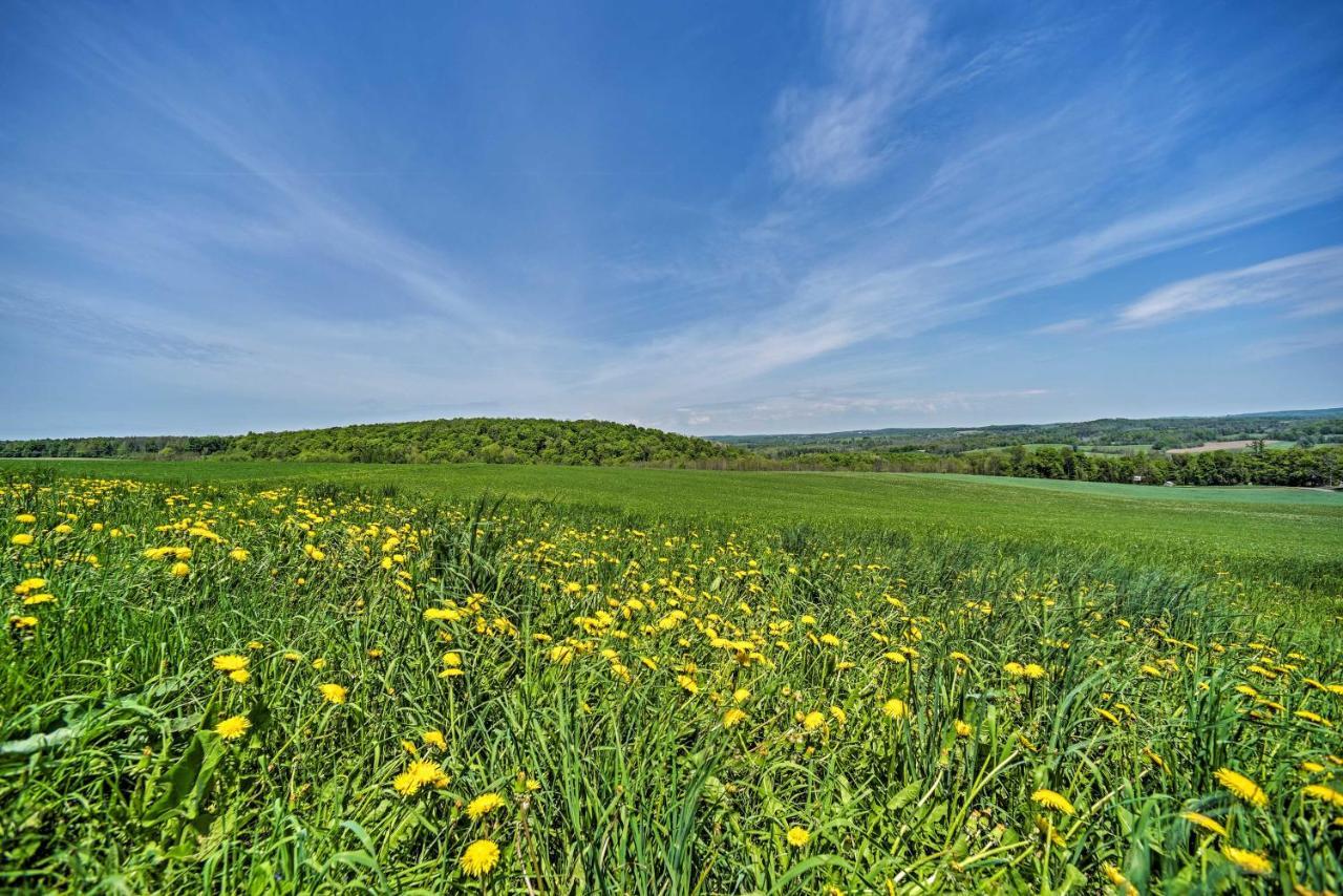 Country Escape With Sauna, 10 Mi To Cooperstown Richfield Springs Exteriér fotografie